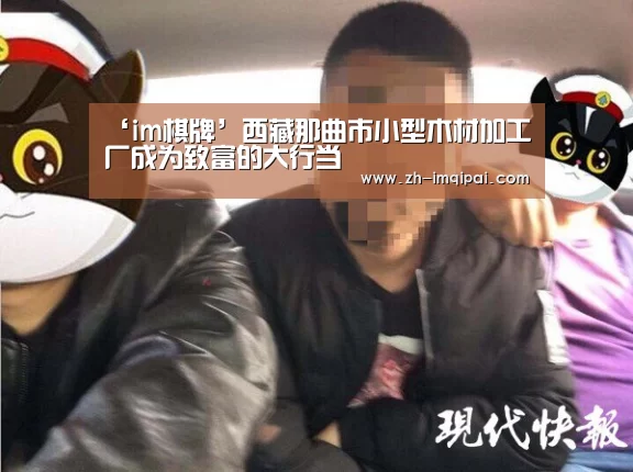 ‘im棋牌’西藏那曲市小型木材加工厂成为致富的大行当(图2) im棋牌