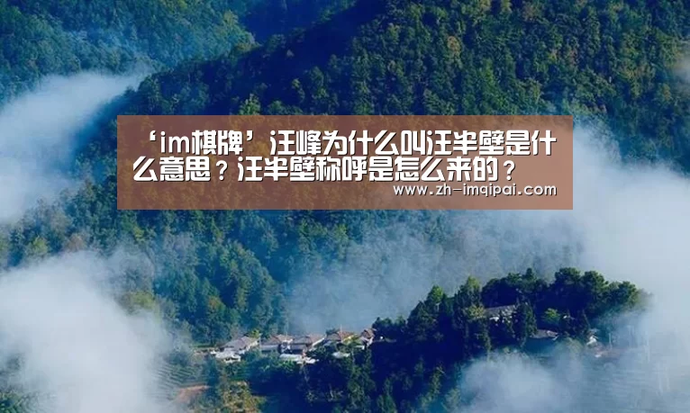 ‘im棋牌’汪峰为什么叫汪半壁是什么意思?汪半壁称呼是怎么来的?(图2) im棋牌